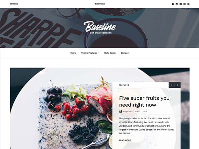 Baseline WordPress Theme clean columns food header homepage magazine publishing sans-serif serif white