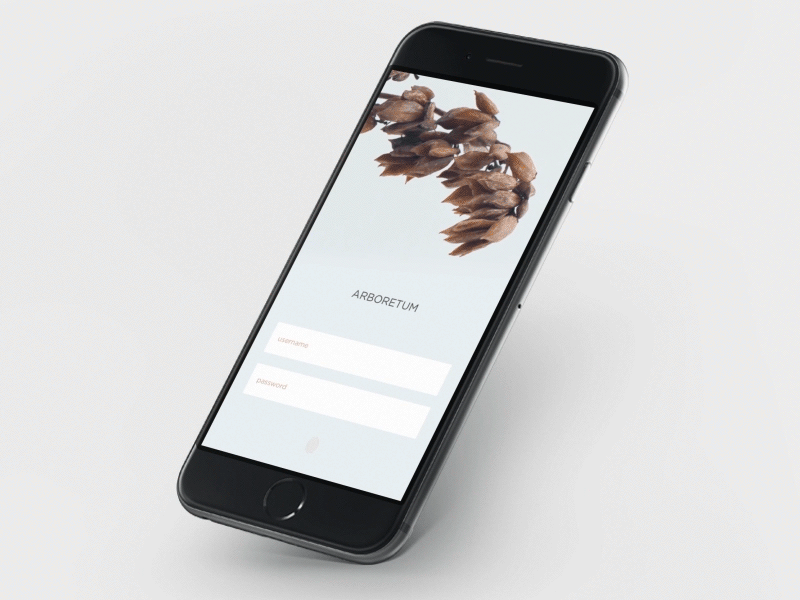 Sign up 001 Day 001 100 animation autumn dailyui days in log minimal sign up