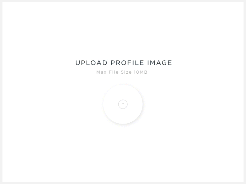 Daily UI Day 31 File Upload 31 animation confirmation daily dailyui day file load profile ui upload