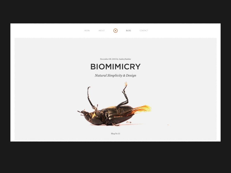 Daily UI Day 35 Blog Post 35 animation biomimicry blog daily dailyui day layout minimal post type ui