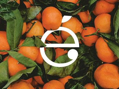 Emotional Oranges Letter Mark brand brand identity branding clean fruit green identity identity design letter mark logo logo design luxury minimal minimalistic modern orange