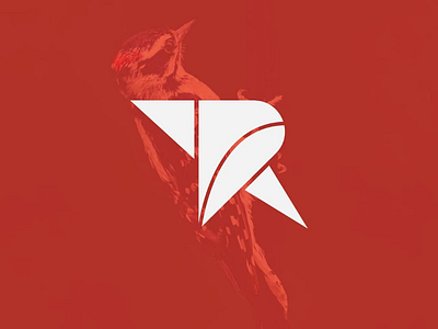 "R" Woodpeck Logo abstract bird brand identity branding design icon identity logo logo design red symbol