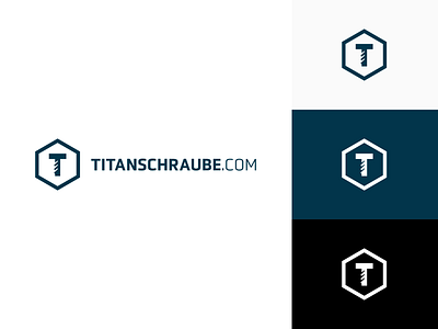 Titanschraube brand brand identity branding design flat graphic design graphicdesign inspiration logo vector