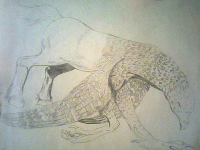 Buckbeak pencil drawing