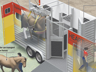 Equine ambulance design illustration infographic