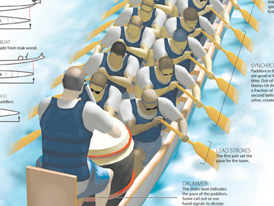 Dragon boat design illustration infographic