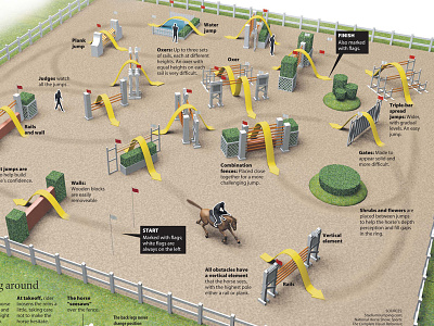 Horse show jumping infographic