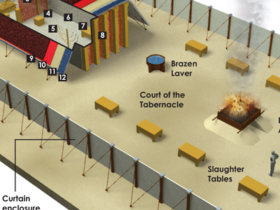 Tabernacle infographic 3d illustration infographic