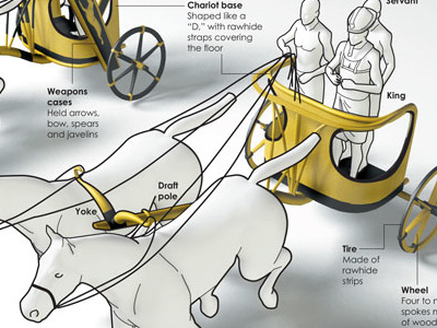 Egyptian War Chariot Infographic 3d illustration design infographic