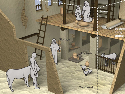 First-Century Israelite House Infographic 3d illustration design infographic