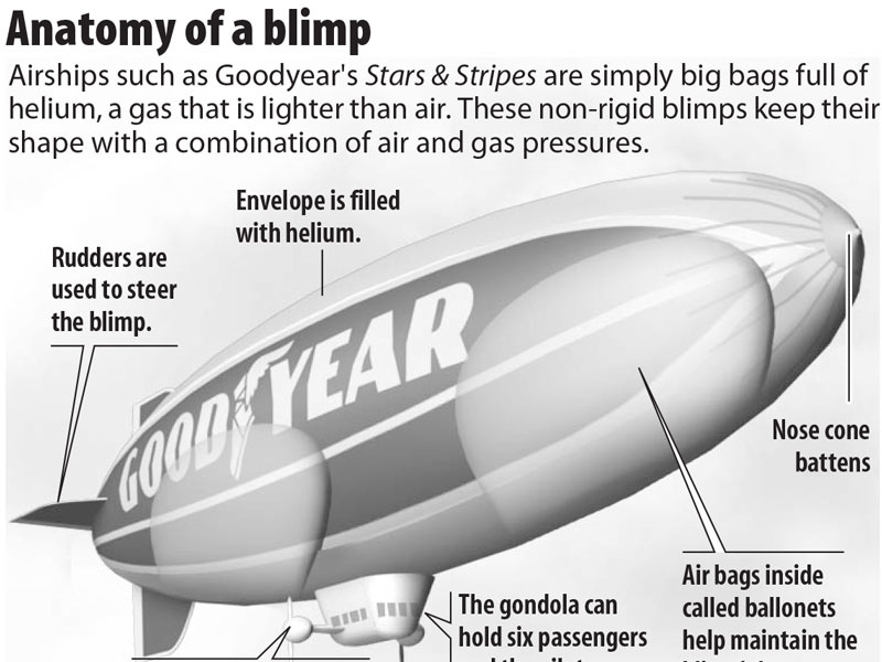 Anatomy of a Blimp infographic by KarBel Multimedia on Dribbble