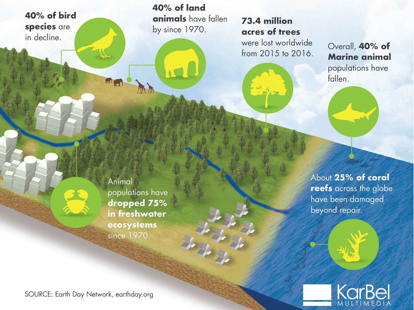 Earth Day Infographic by KarBel Multimedia on Dribbble