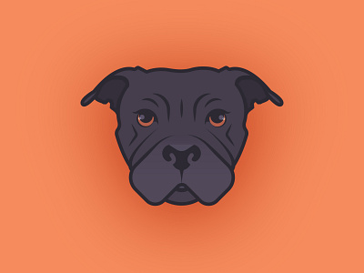 Kova Icon brand branding dog dribbble dribbbleweeklywarmup flat design graphic design icon iconography icons illustration illustrator layout orange pitbull typography vector weeklywarmup