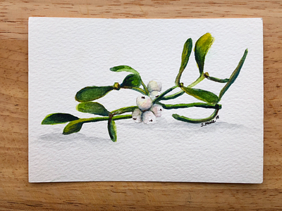 Mistletoe Watercolor