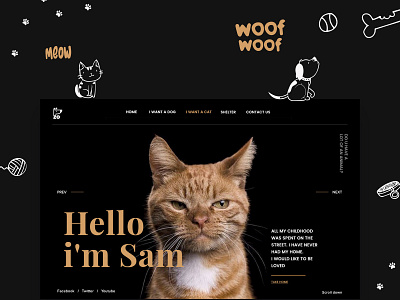 Shelter "ZO" for homeless cats and dogs branding design graphic graphic design illustration logo ui ui ux design ux web web design webdesign website