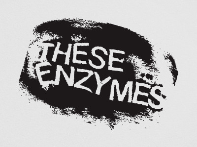 These Enzymes 2005 hardchore spraypaint tech metal type typography