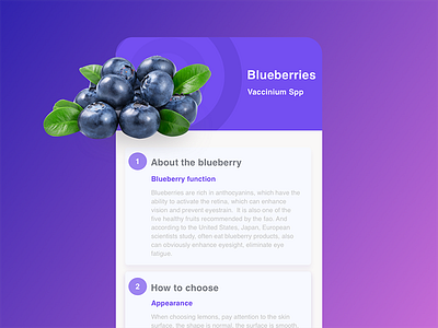 Blueberries food