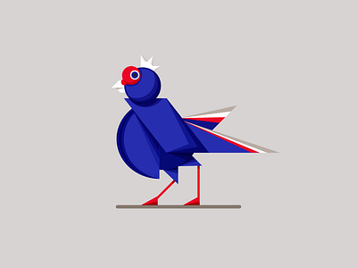 Swinhoe's Pheasant animal bird illustration