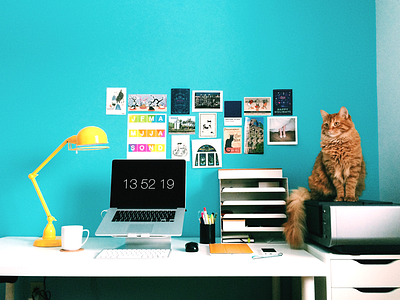 Home Office 2015 cat home homeoffice homestation mac office officedesk workspace