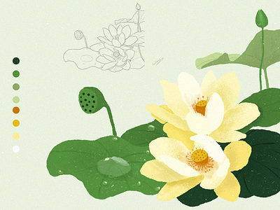 practice_painting flower_2 ps手绘插画 ps插画