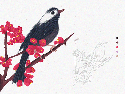 bird Illustration