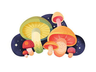 Do you like zhe mushroom? color