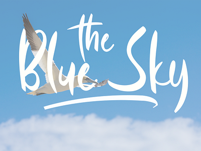 Blue sky branding brush callygraphy brushes fonts handlettering handwriten typography