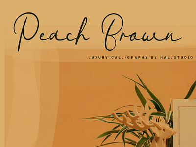 Peach Brown branding brush callygraphy design fonts handlettering handwriten type typography