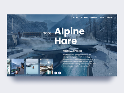 alpine_hare_hote app design application design business clean design dribbbling gameofthrones hotelbookingapps opengeekslab ui ux webdesign whitewalkers