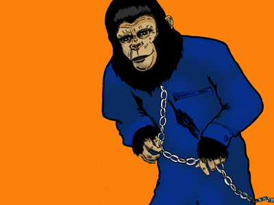 You Dirty Ape! apes hand drawn planet of the apes