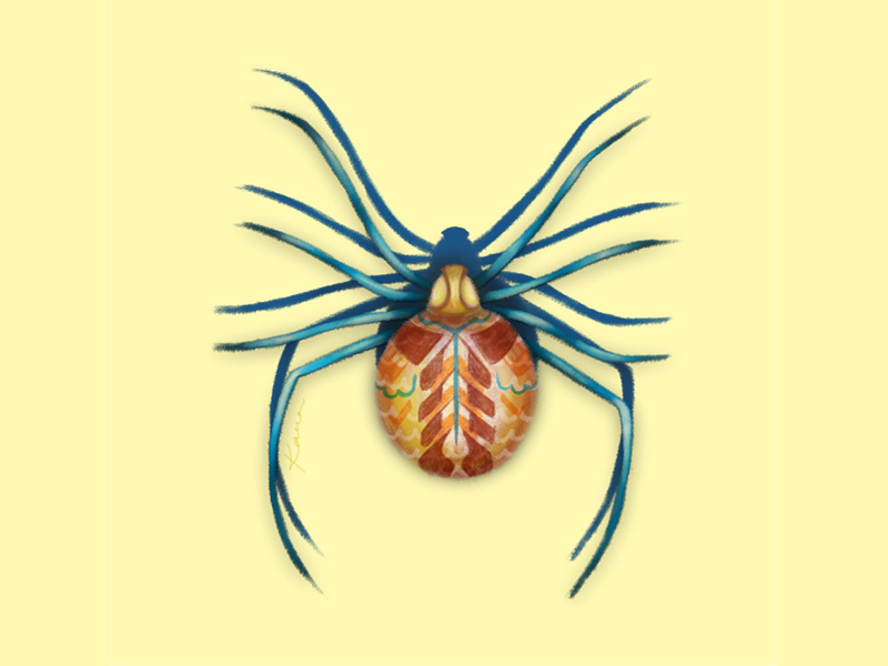 Beet By Karina Shantilal On Dribbble Beet By Karina Shantilal On Dribbble