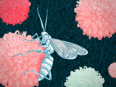 Beefemme bee colour digital art illustration insect pattern photoshop pollen pompom
