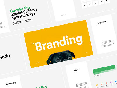 🐶 Fiddo | Dog App | Branding app black branding casestudy circular dog green icons logo logotype mobile mobile app presentation typography ui ux ux design uxui white yellow