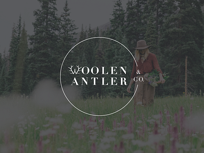 Woolen Antler & Co. antler branding design foraged graphic design handcrafted w