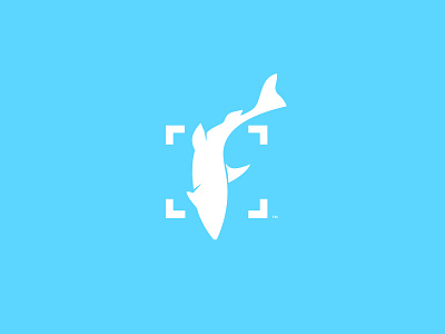 Fishial ai branding design f f logo fish idenitity identity design illustration logo logotype ui