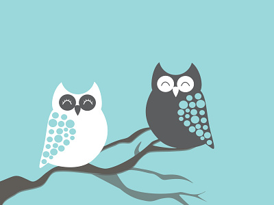 Owls character creation design flat design graphic design illustration owls vector