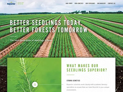 Rayonier: Seedlings design ui