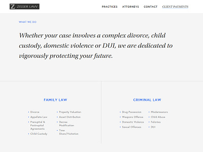 Zisser Law | What We Do Section