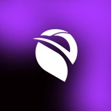 Awe Branding