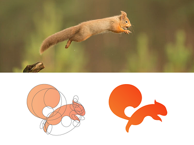 Jumping Squirrel artwork illustration logo squirrel symbol vector