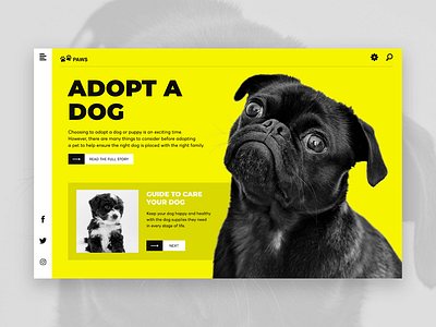 Adopt a Dog artwork design photoshop typography ui userexperiance website banner