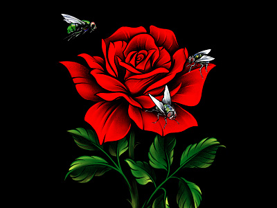 Rose flies illustration rose