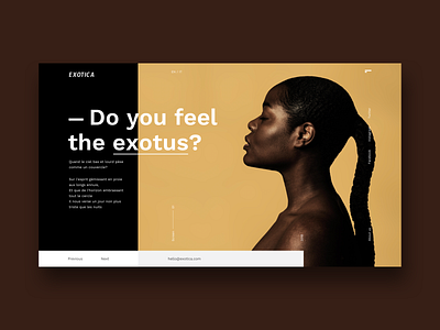 Exotica about big typography black black culture brown chocolate exotic mondrianism soft brown uidesign