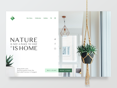 Nursery Website Concept - Landing Page 3d clean concept design ecommerce flat green landingpage minimal minimalism plant simple ui web webdesign website