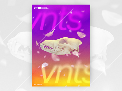 005 • Vanitas advroo art photoshop poster skull