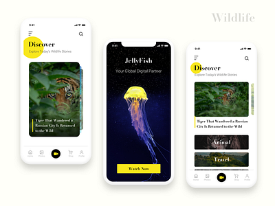 Wildlife Project UI Design app cards dailyui design flat minimal ui uidesign user interface ux uxdesign wildlife yellow