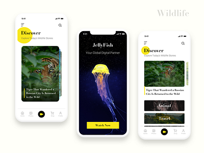 Wildlife Project UI Design