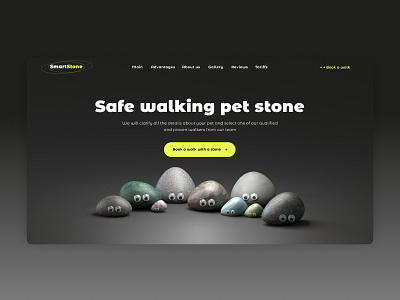Pet Stones design minimal ui ux web website