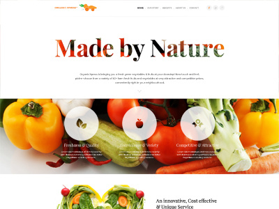 Organic Xpress minimal web design