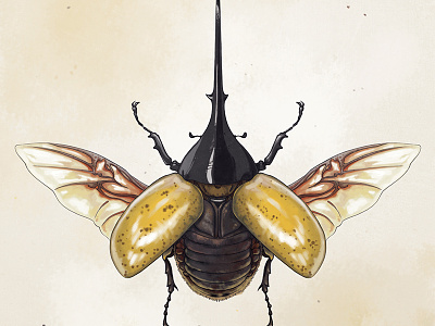 Beetle-ing beetle beetles bug fun game insect memory memorycards rikoandthehuman yellow